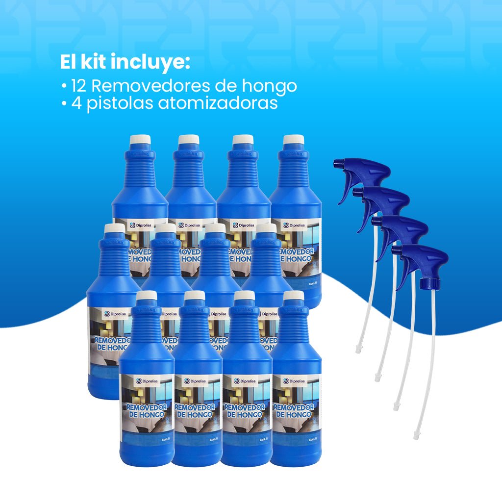 REMOVEDOR DE HONGOS 1 L
