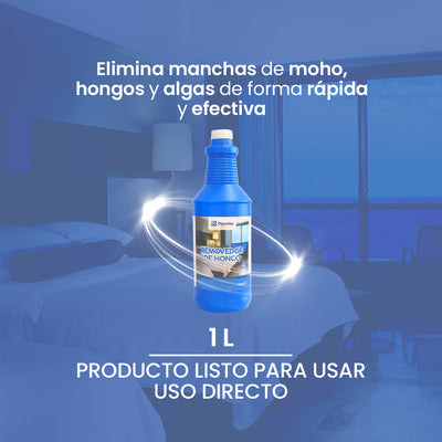 REMOVEDOR DE HONGOS 1 L